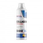 FF Collagen Formula 3000 500мл
